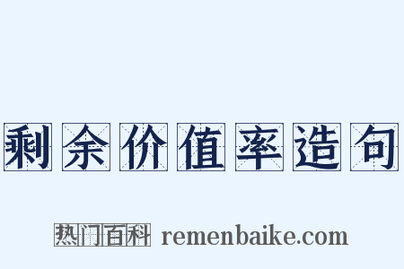 剩余价值率造句是什么意思的图片